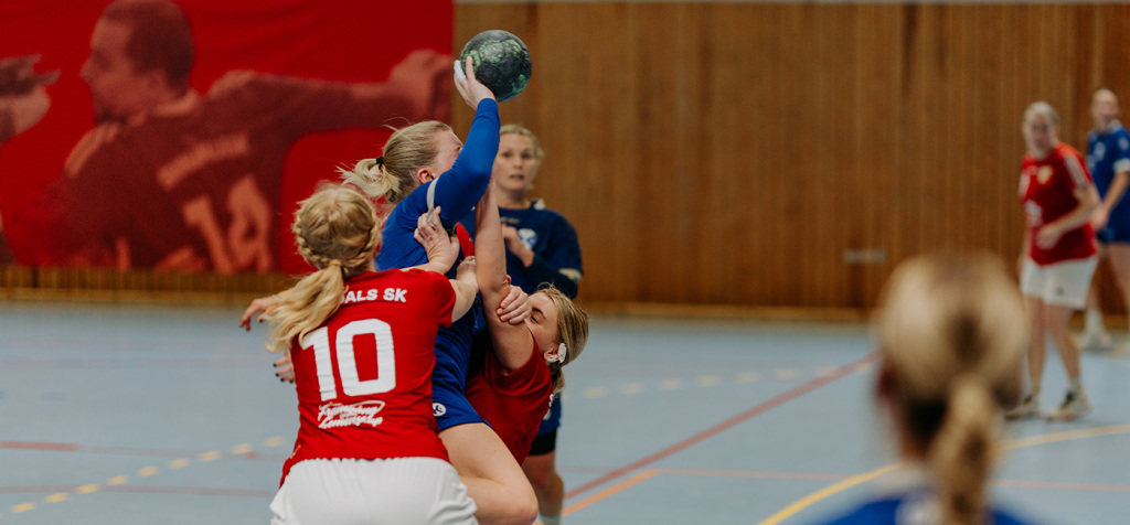Damer A föll hemma mot Haninge HK i lördags