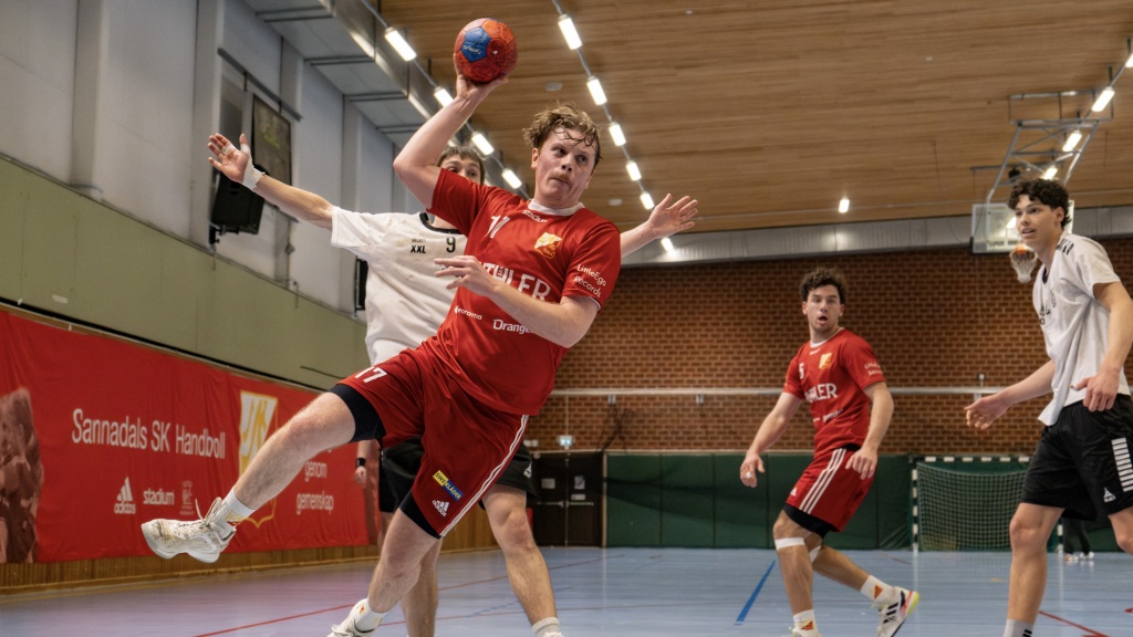 Ekholm målbäst när Sannadals herrar vann